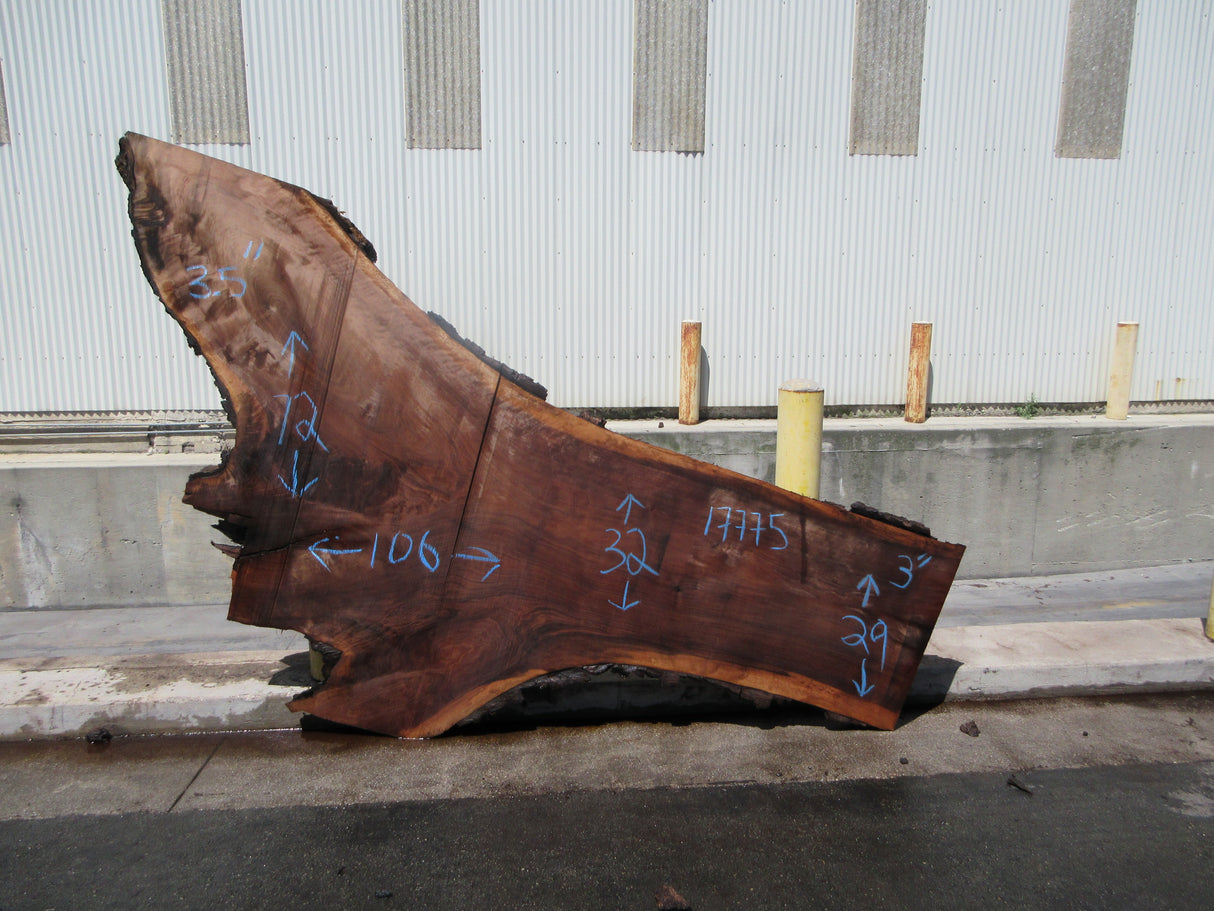 Claro Walnut Slab #17775