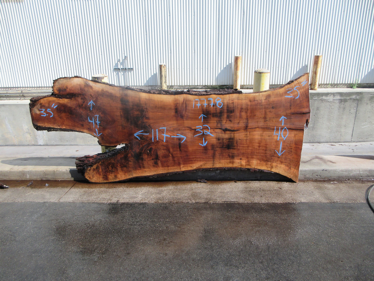 Claro Walnut Slab #17778