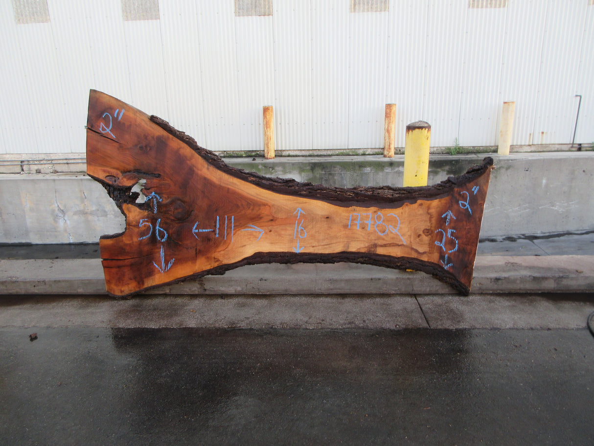 Claro Walnut Slab #17782