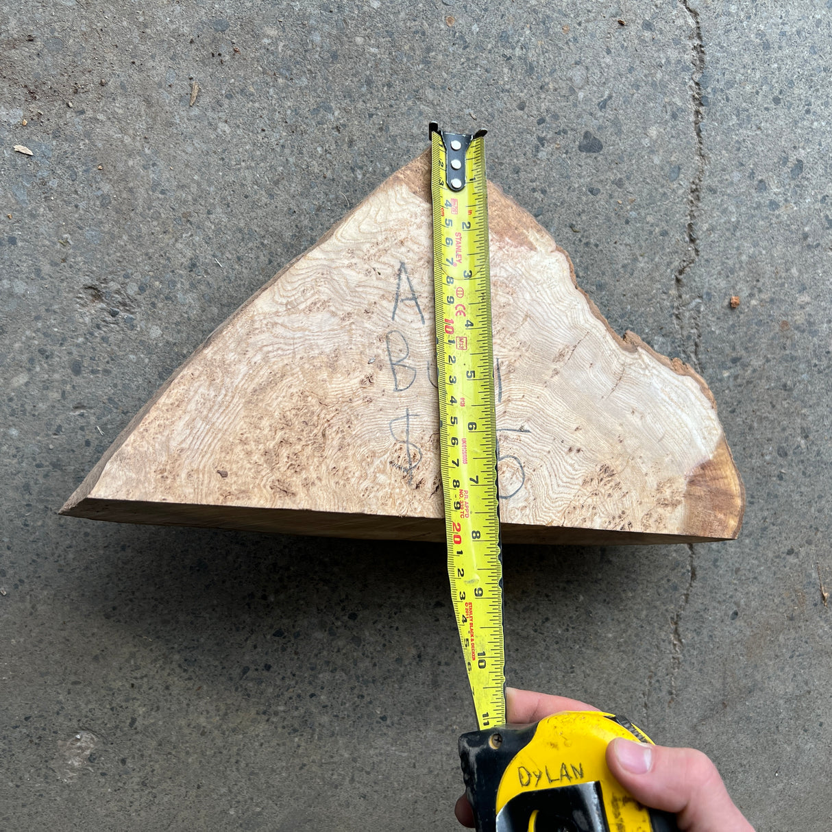 Ash Burl 12”x7”x3.5”