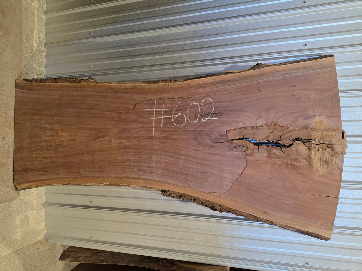 Black Walnut 10/4 Live Edge #602