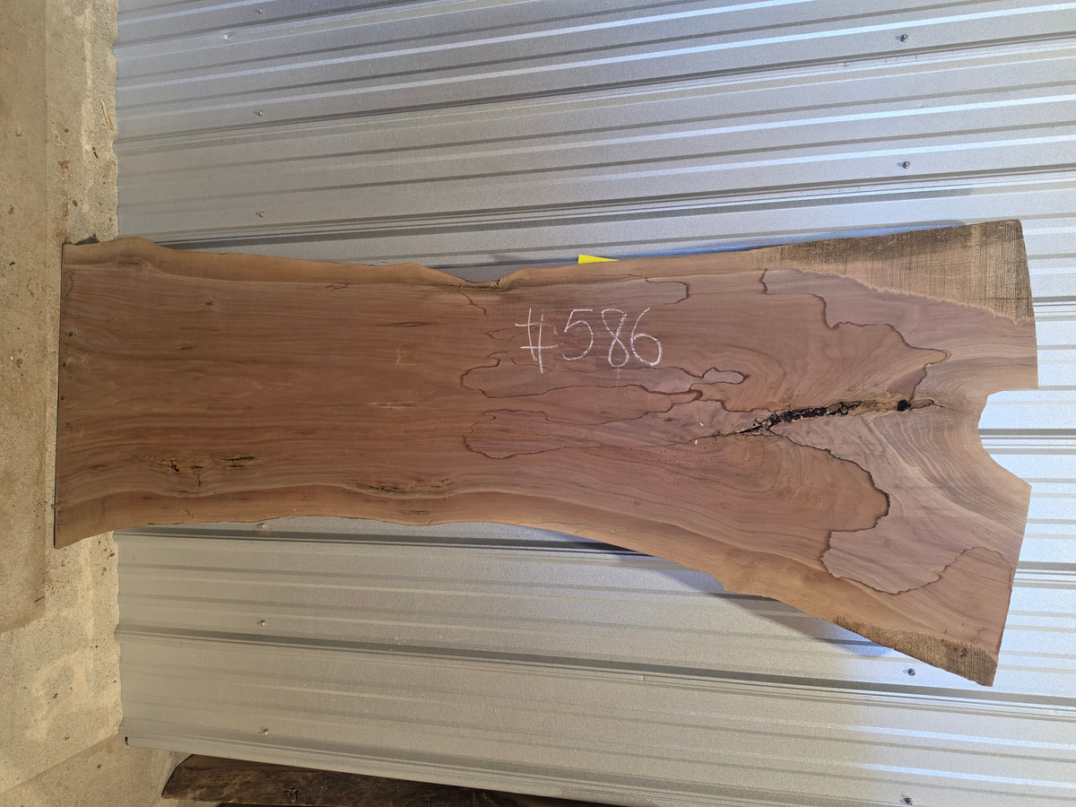 Black Walnut 10/4 Live Edge #586