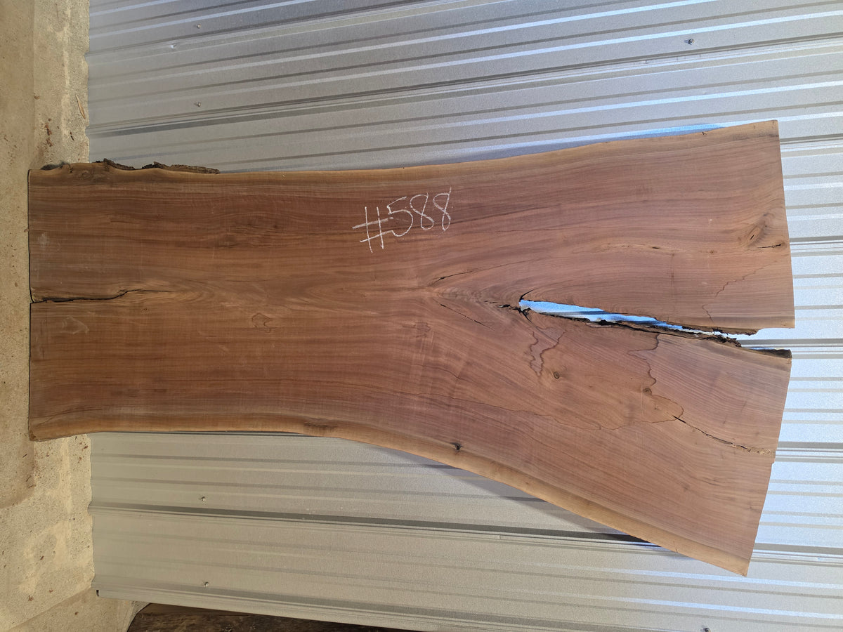 Black Walnut 10/4 Live Edge #588