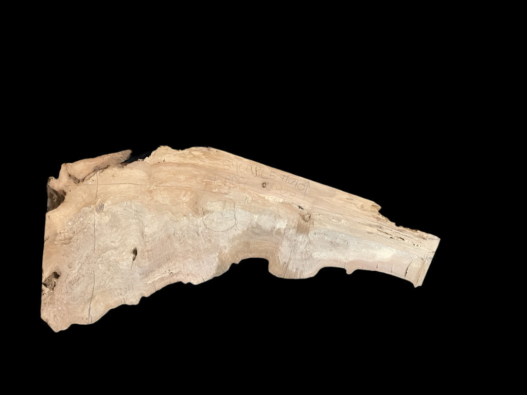 Sycamore Burl 12/4 Live Edge #010
