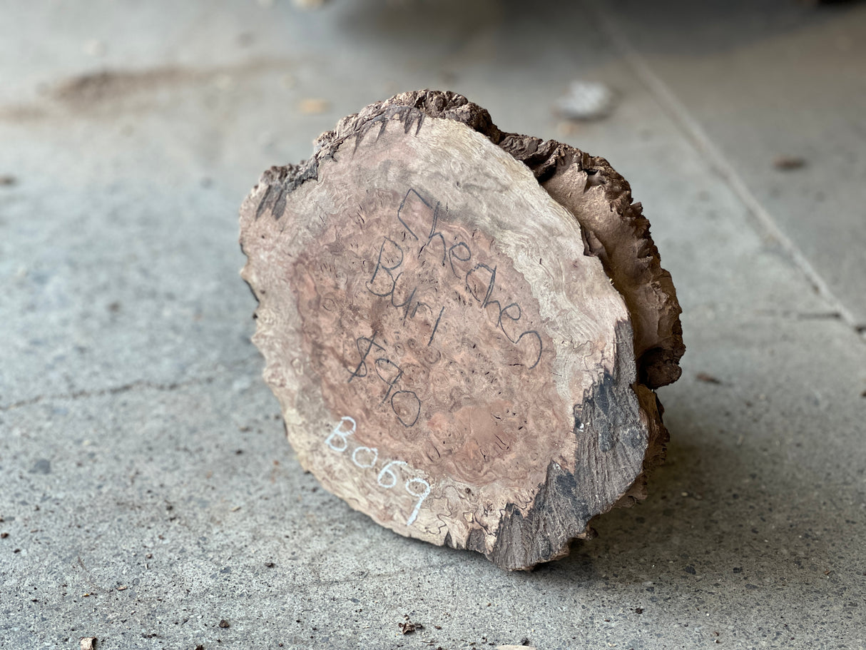 Chechen Burl 8”x8”x2”