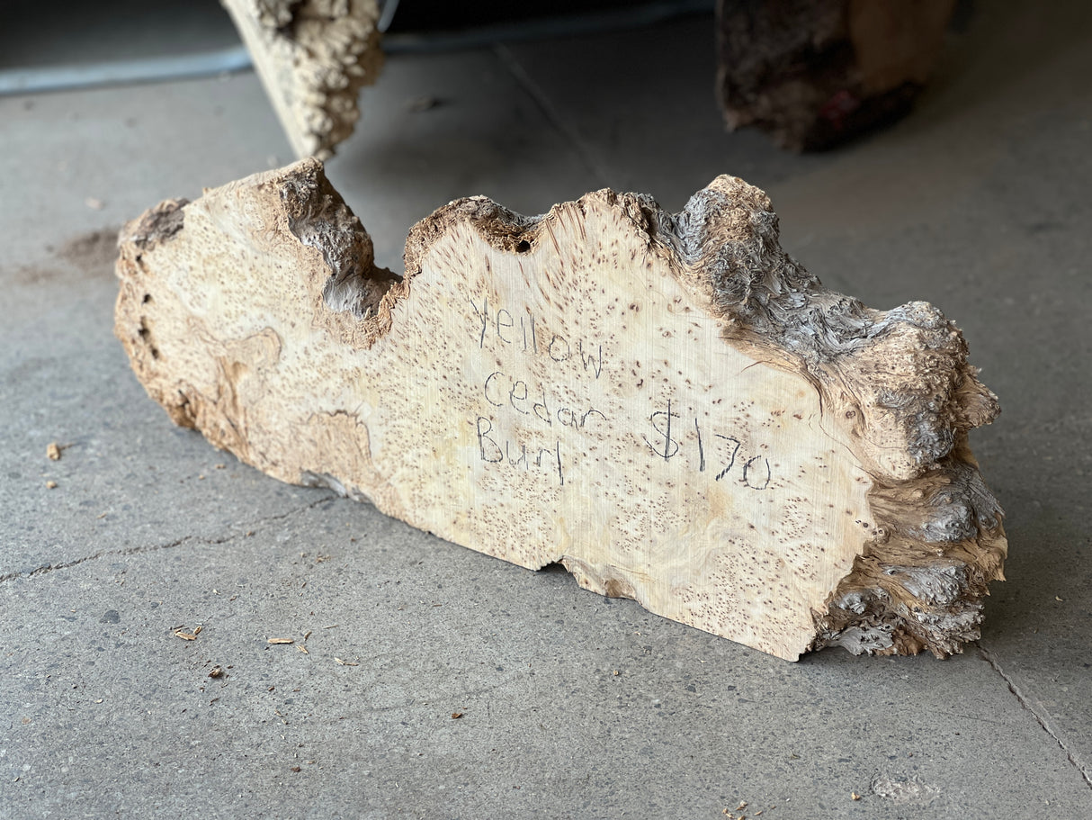 Yellow Cedar Burl 22”x8”x2”