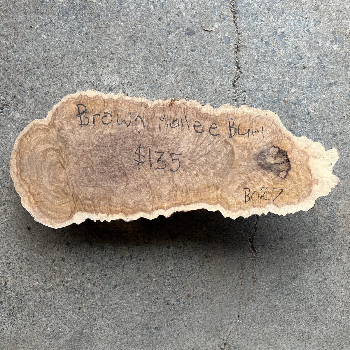 Brown Mallee Burl 15”x6”x2” – Black Forest Wood Co.