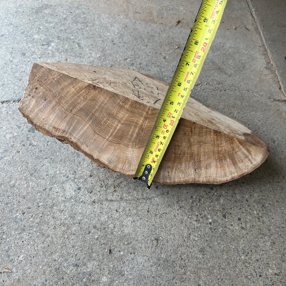 Ash Burl 12”x7”x3.5”