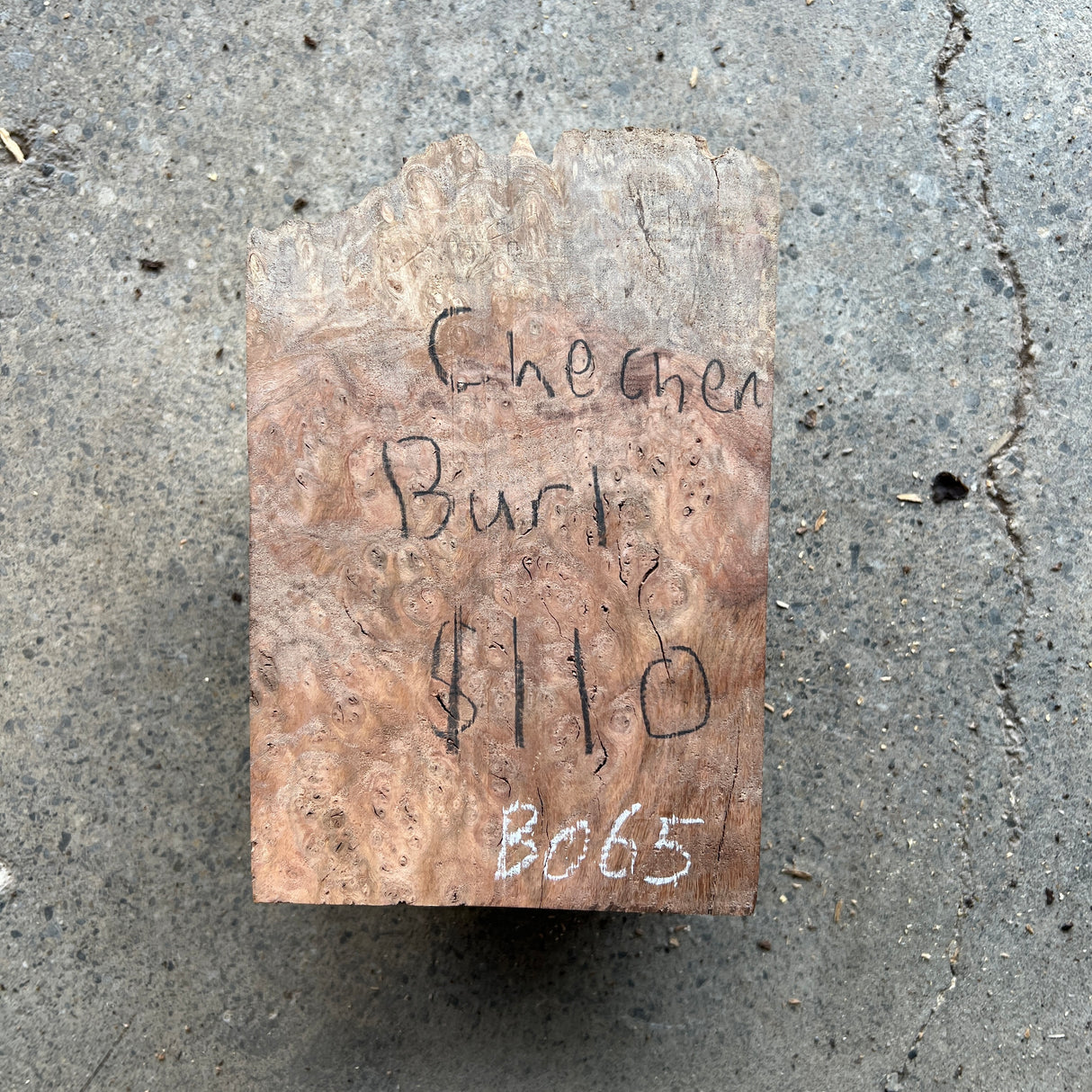 Chechen Burl 8”x5”x3”
