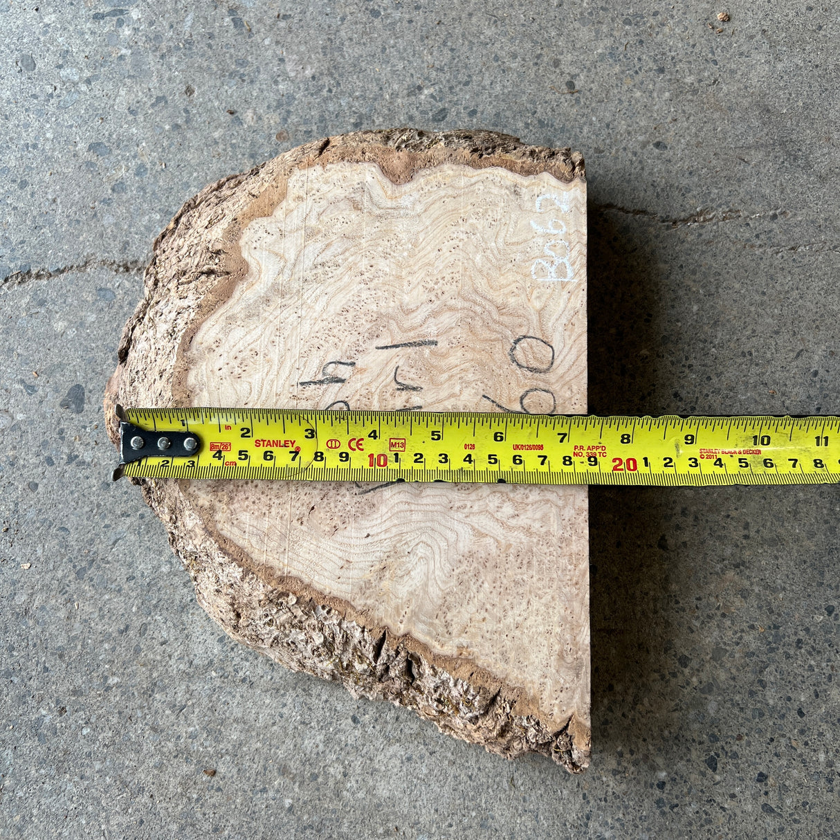 Ash Burl 9”x7”x2”