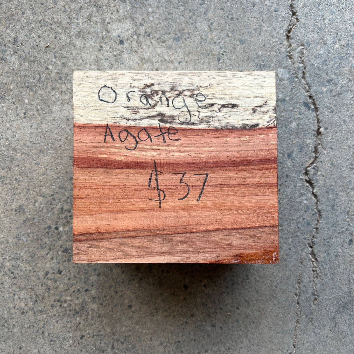 Spalted Orange Agate 6”x5.5”x3.5”