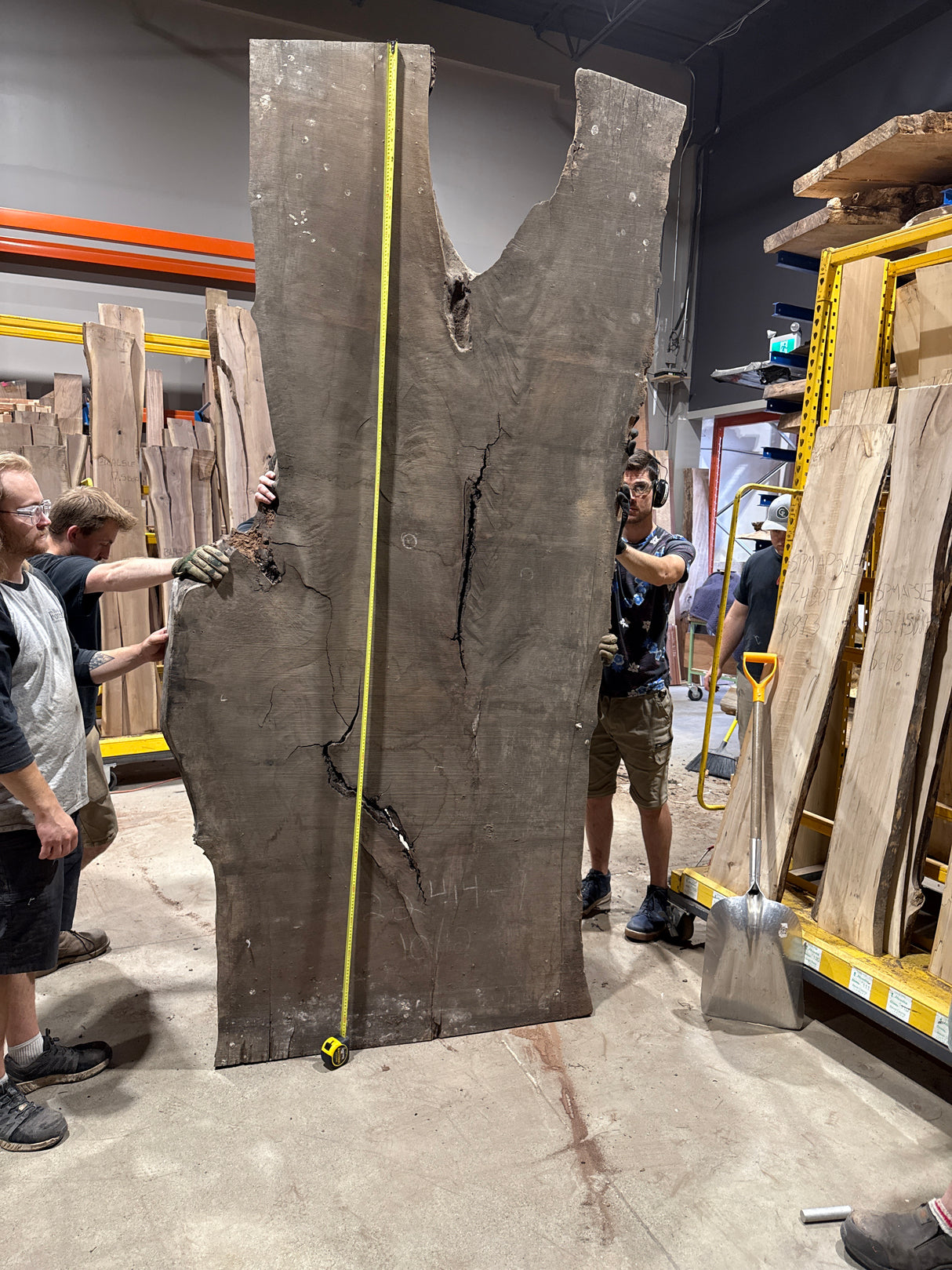 Black Walnut Live Edge #122414-9