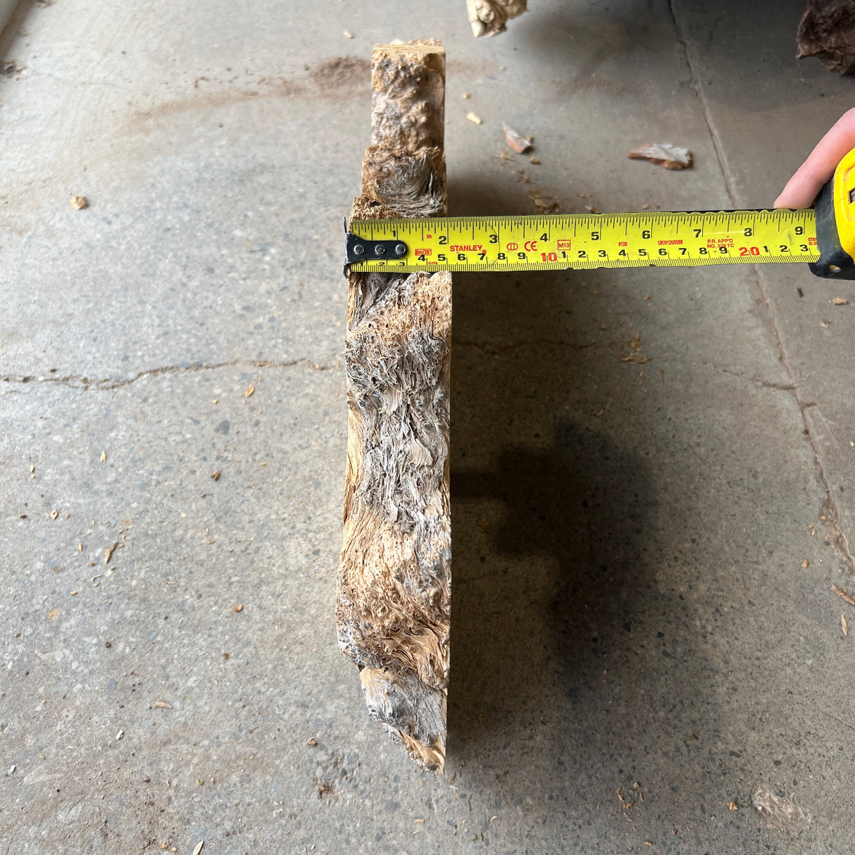 Yellow Cedar Burl 22”x8”x2”