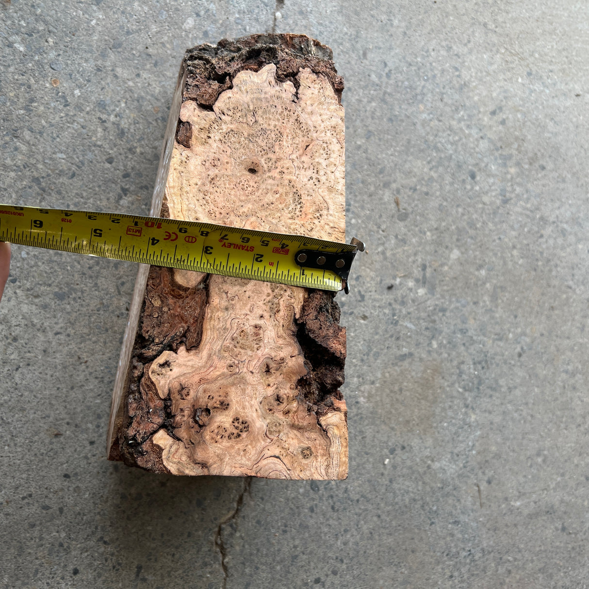 Cherry Burl 9”x4.5”x4”