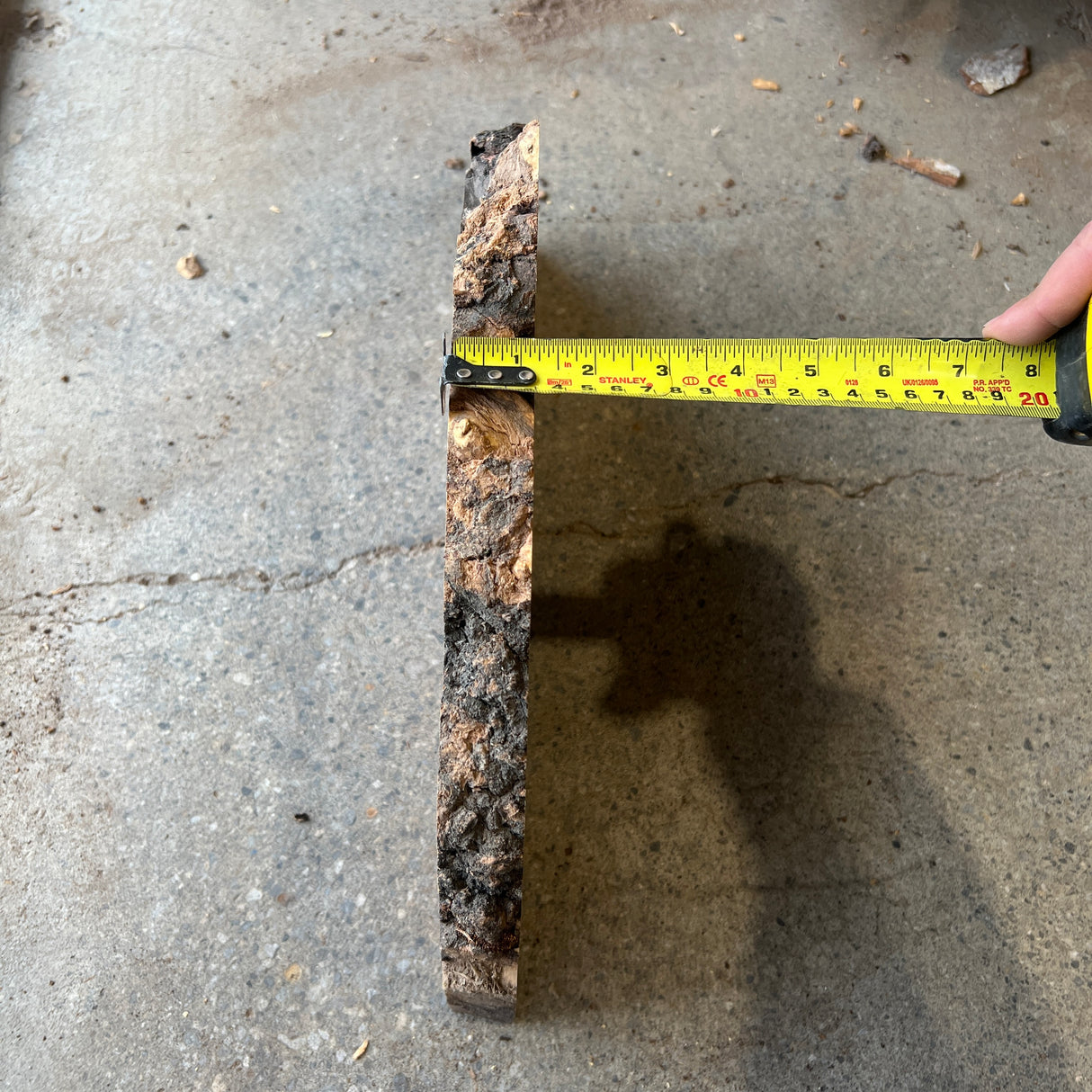 Olive Ash Burl 17”x8”x1”