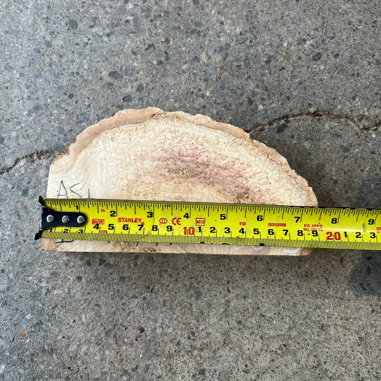 Ash Burl 7”x4”x1.25”