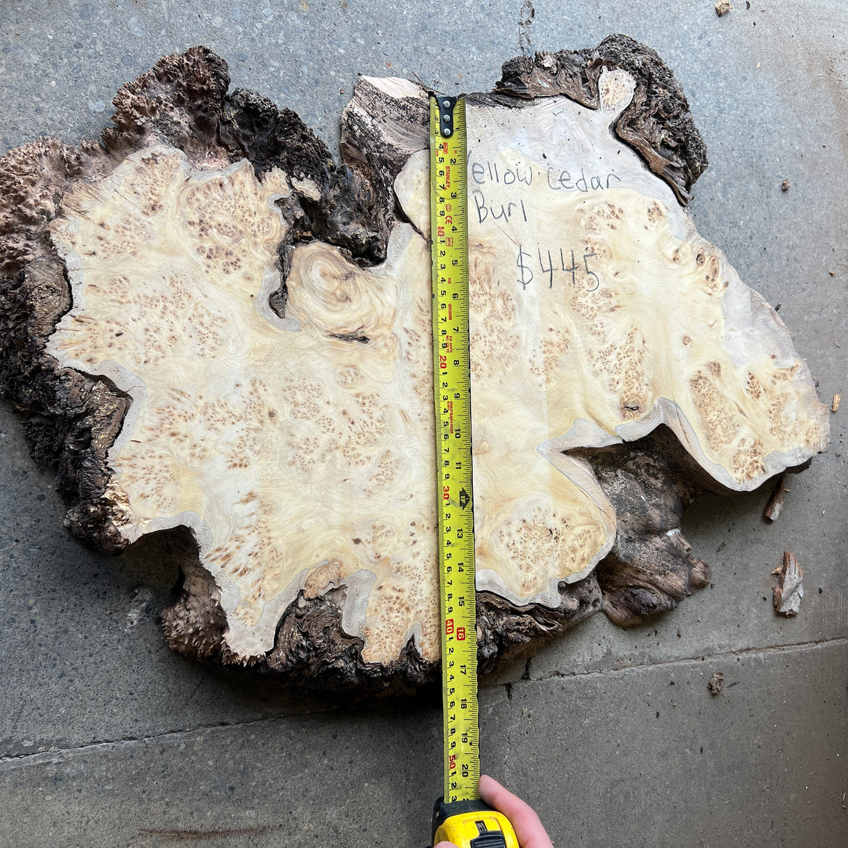 Yellow Cedar Burl 24”x16”x2”