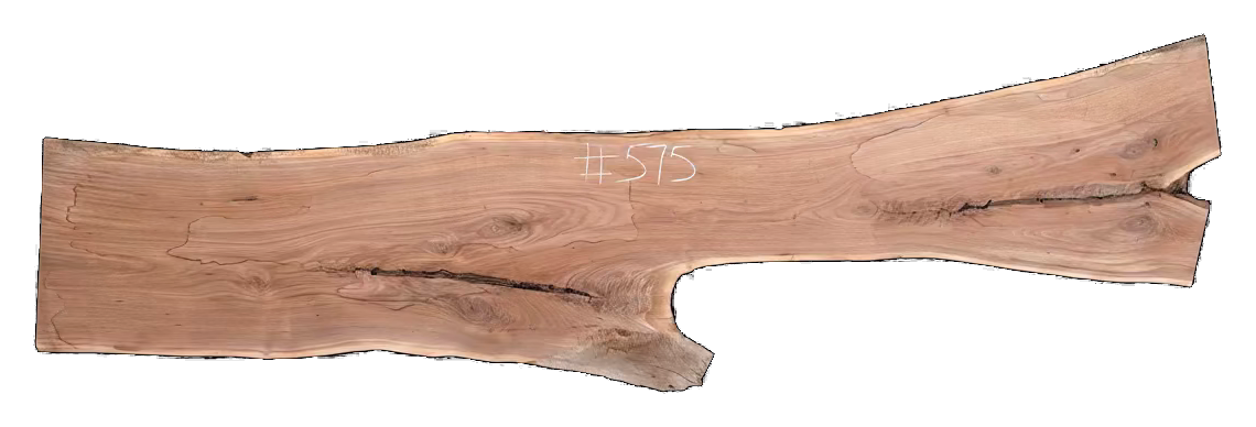 Black Walnut 10/4 Live Edge #575
