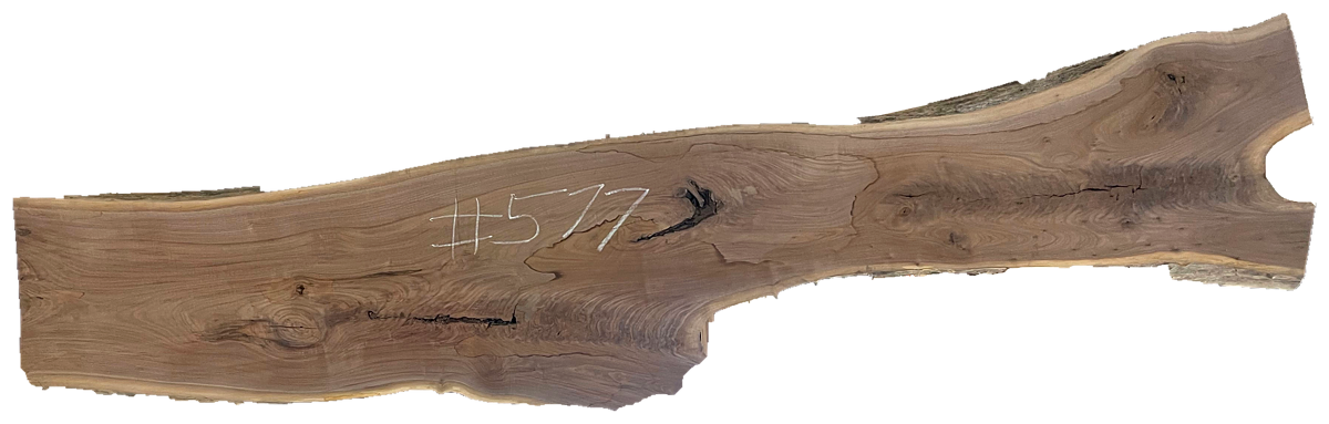 Black Walnut 10/4 Live Edge #577