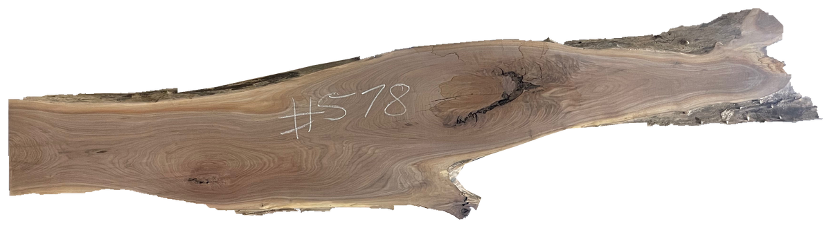 Black Walnut 10/4 Live Edge #578