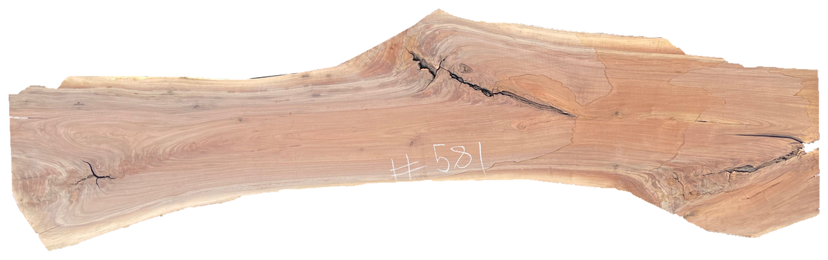 Black Walnut 10/4 Live Edge #581