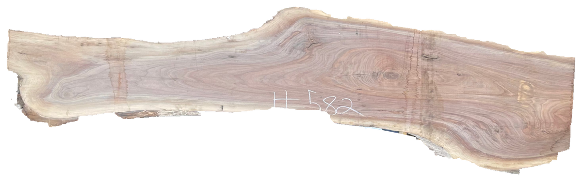 Black Walnut 10/4 Live Edge #582