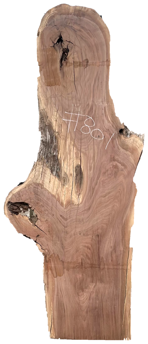 Black Walnut 8/4 Live Edge #801