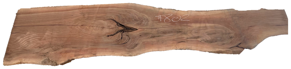 Black Walnut 8/4 Live Edge #802