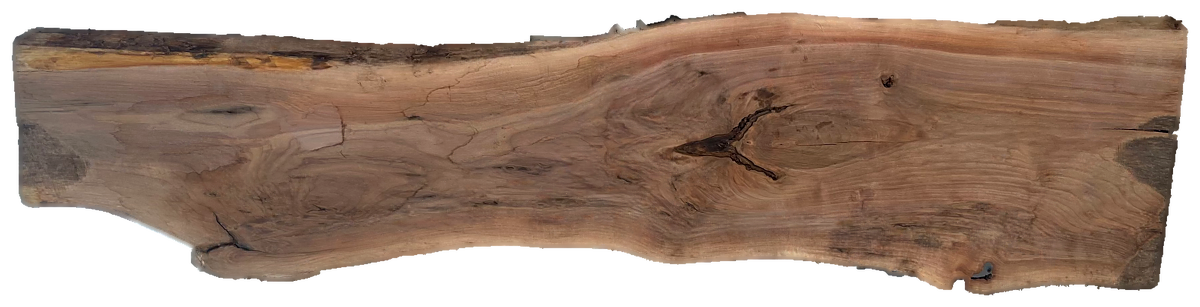 Black Walnut 8/4 Live Edge #803