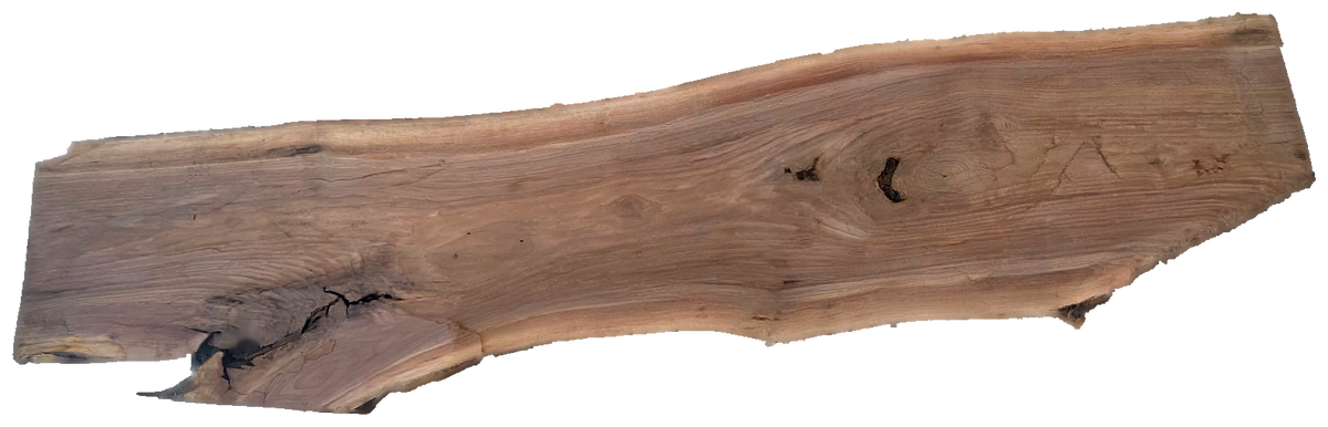 Black Walnut 8/4 Live Edge #804