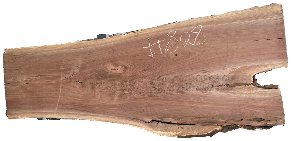 Black Walnut 8/4 Live Edge #828