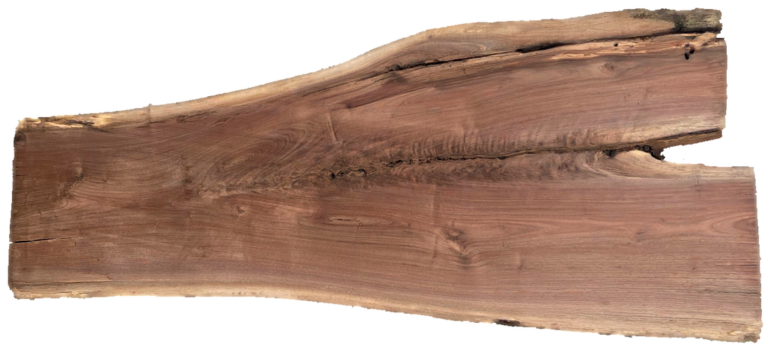 Black Walnut 8/4 Live Edge #828