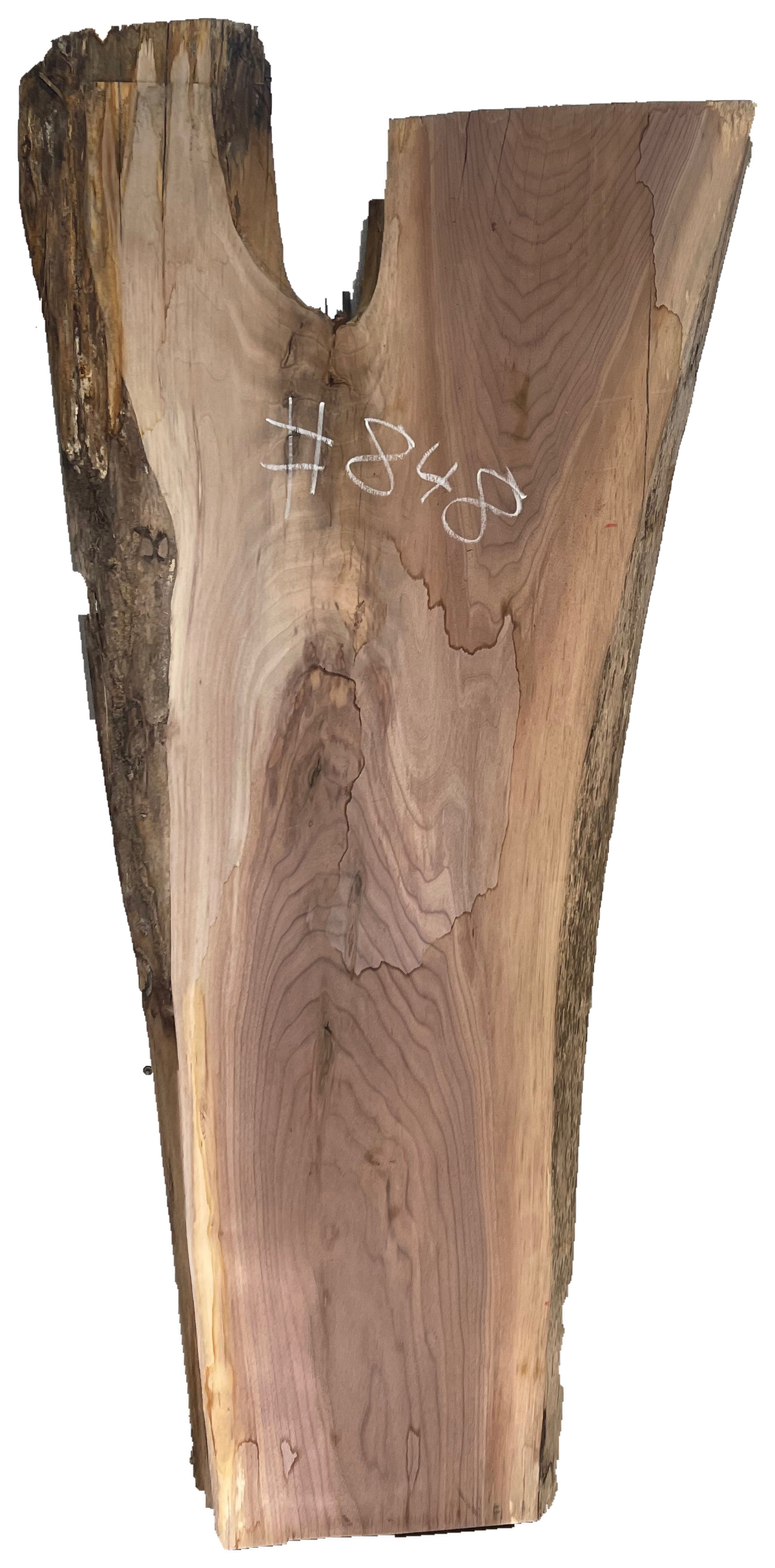 Black Walnut 8/4 Live Edge #848