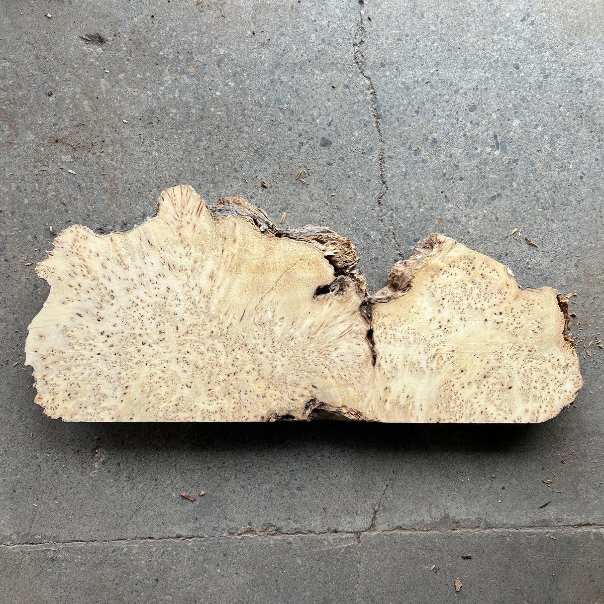 Yellow Cedar Burl 22”x8”x2”