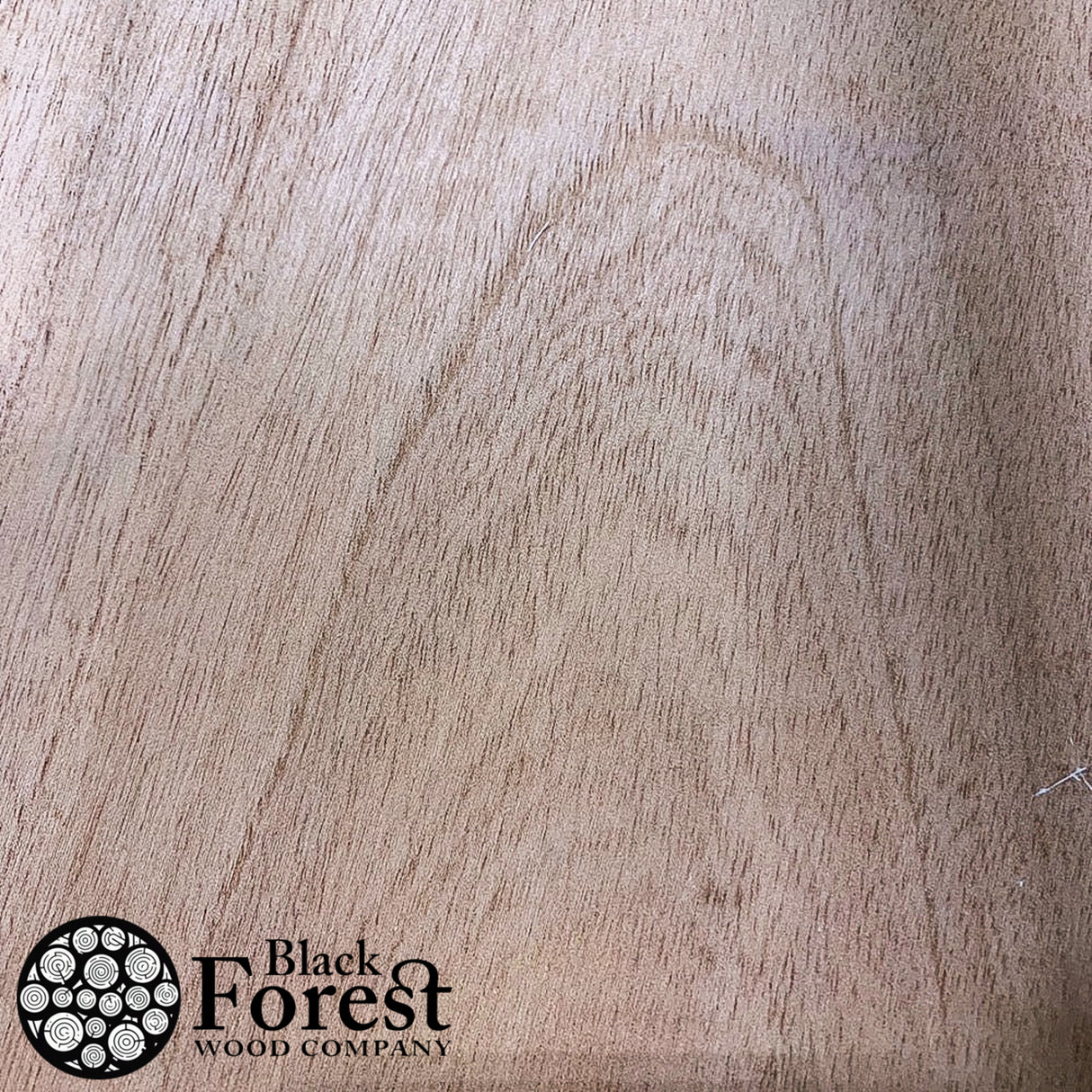 Cedar, Spanish - Rounds