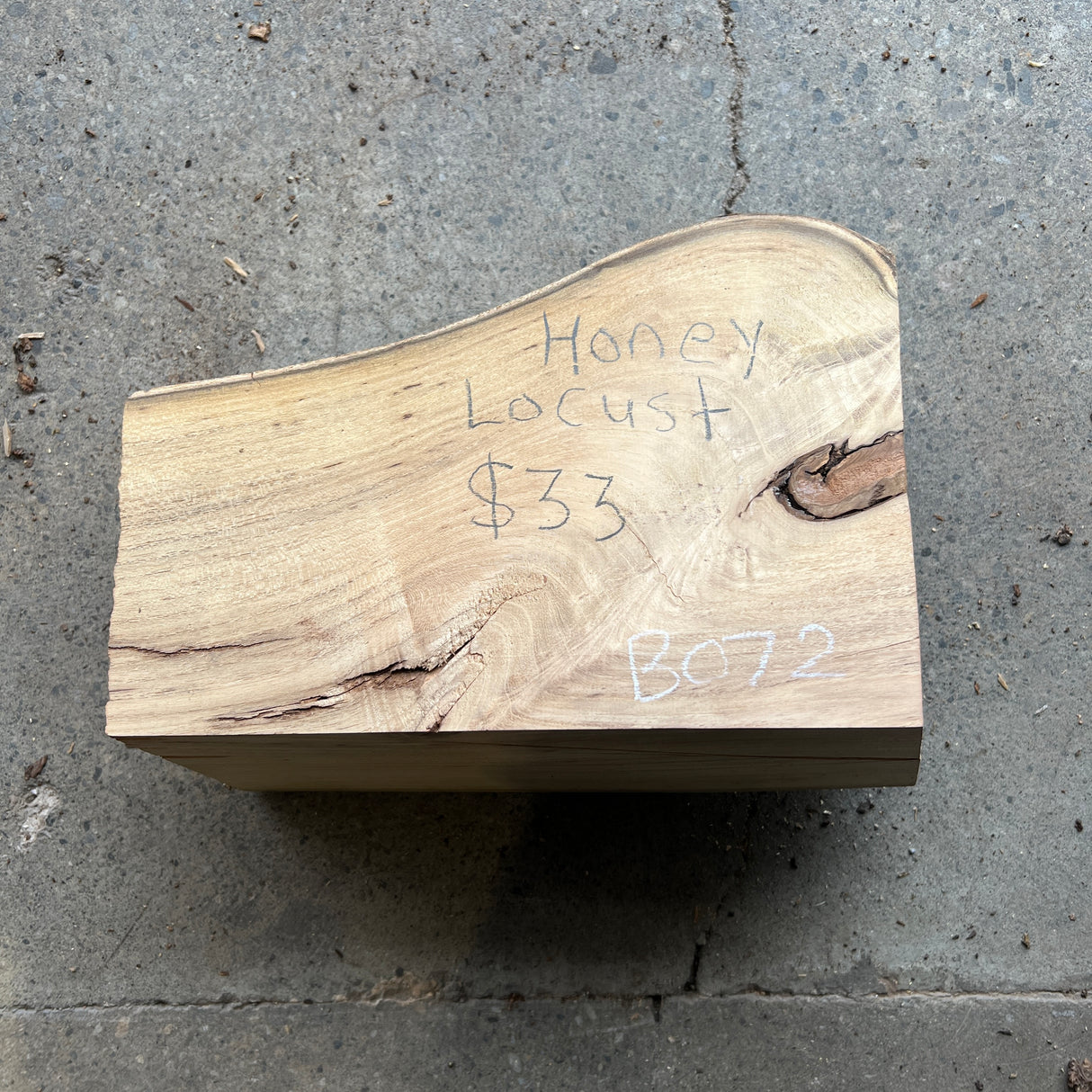 Honey Locust 11”x7”x6”