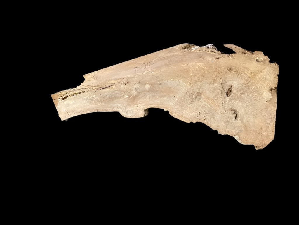 Sycamore Burl 12/4 Live Edge #010
