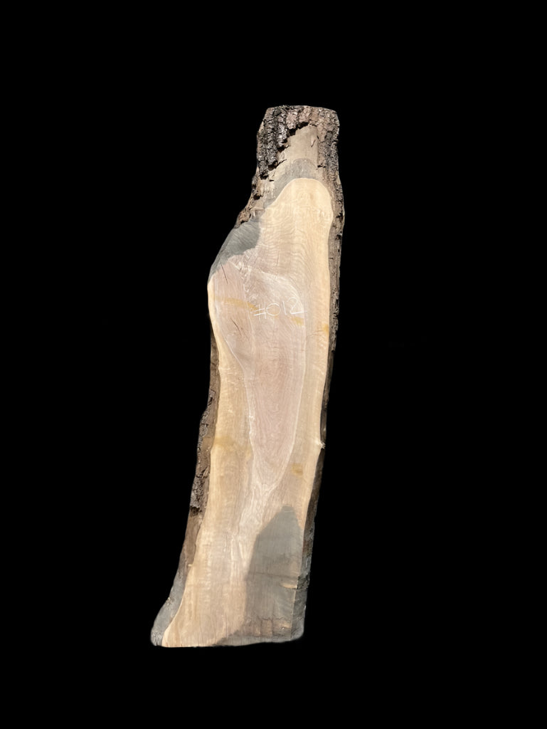 Black Walnut 12/4 Live Edge Slab #012