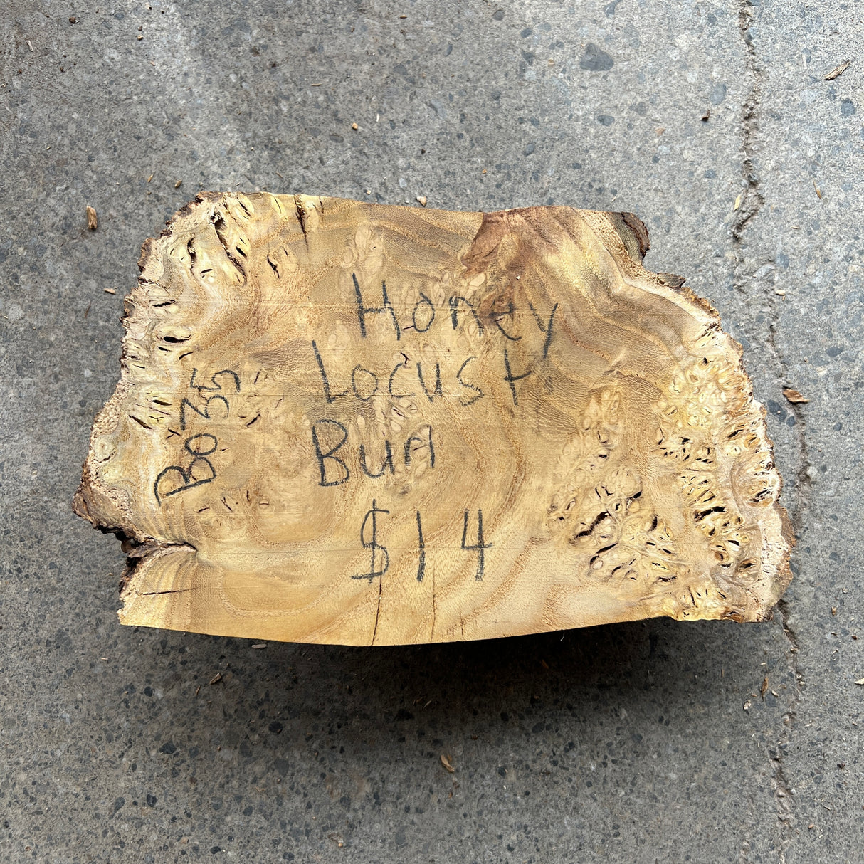 Honey Locust Burl 9”x5”x1.75”