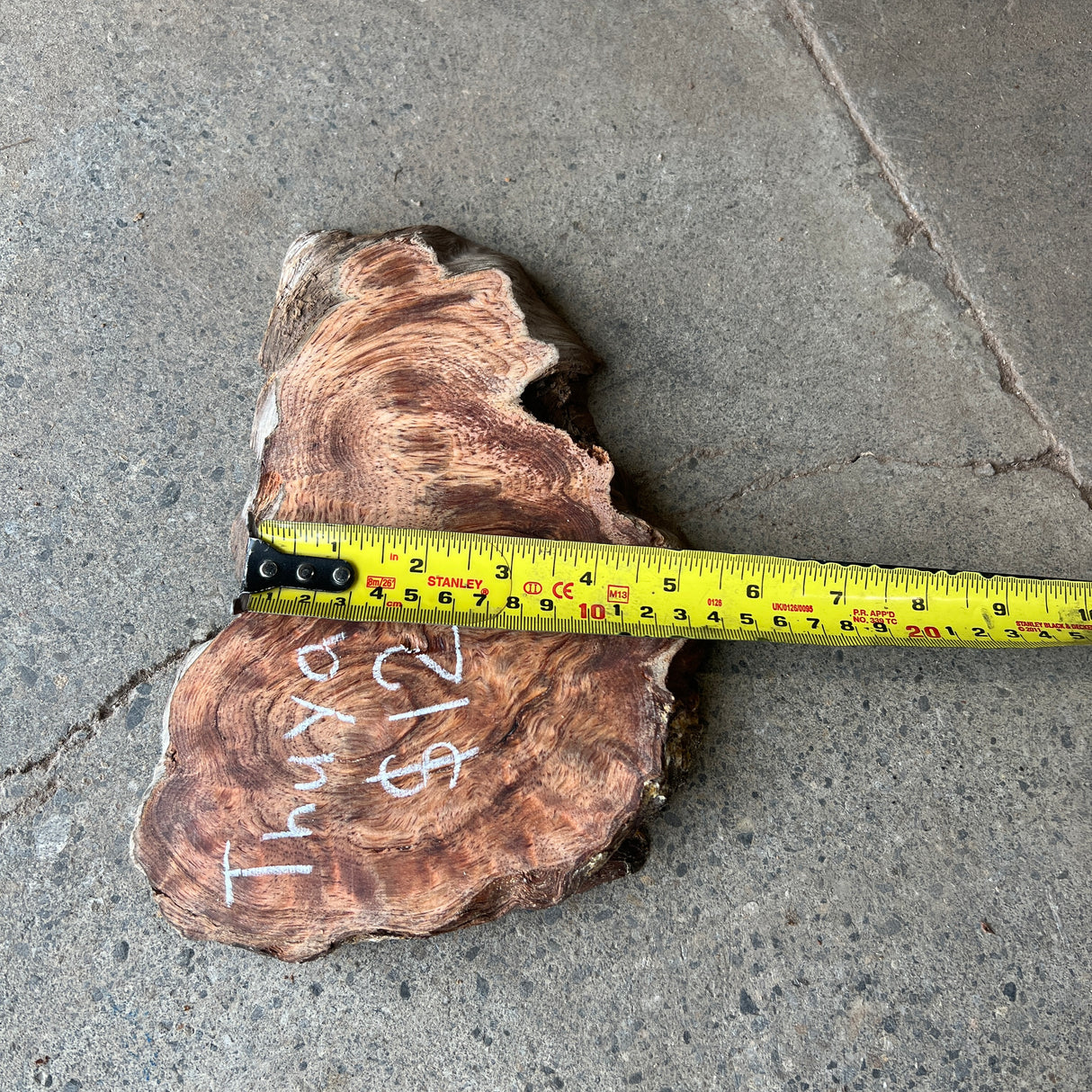 Thuya 9”x5”x1”