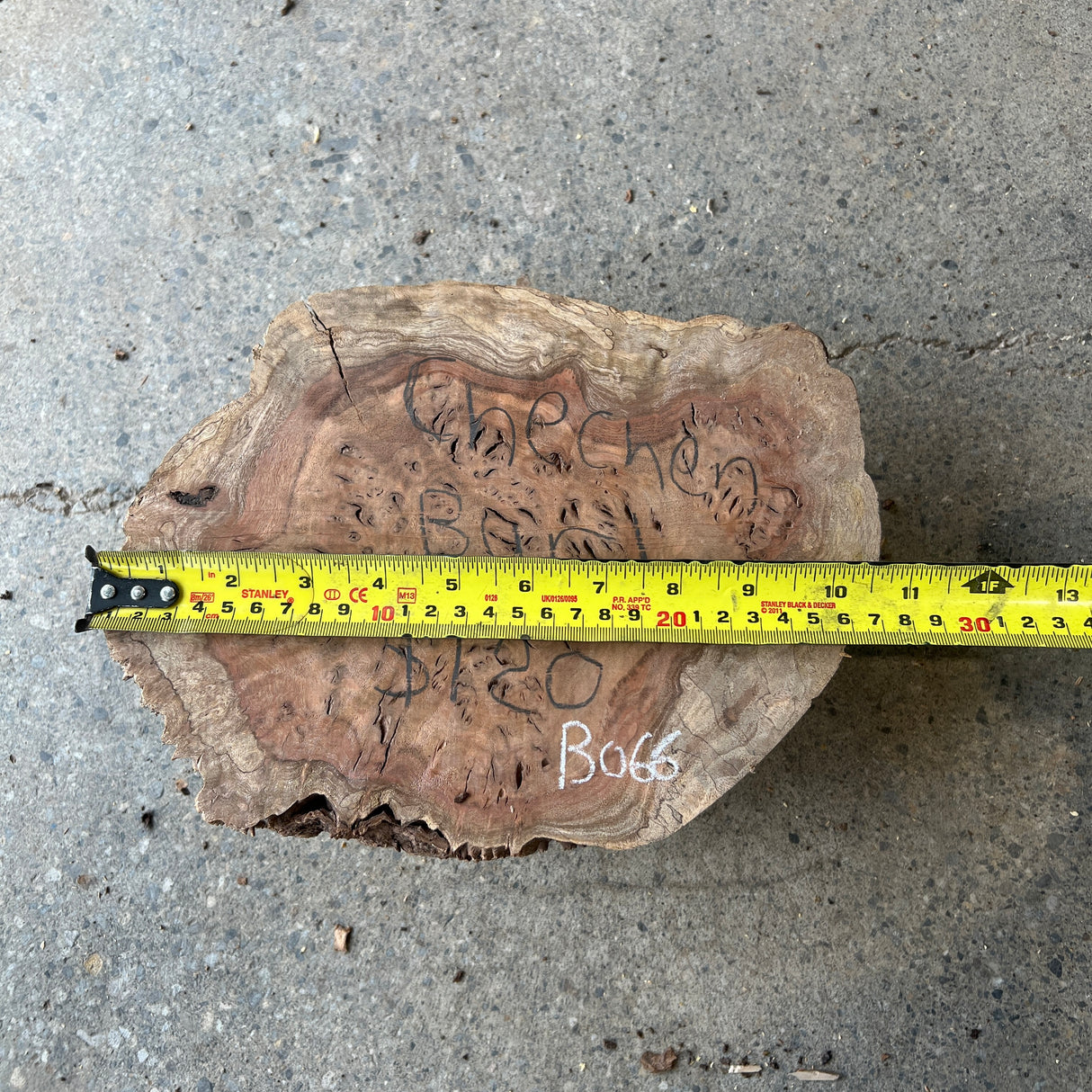 Chechen Burl 10”x7”x3”