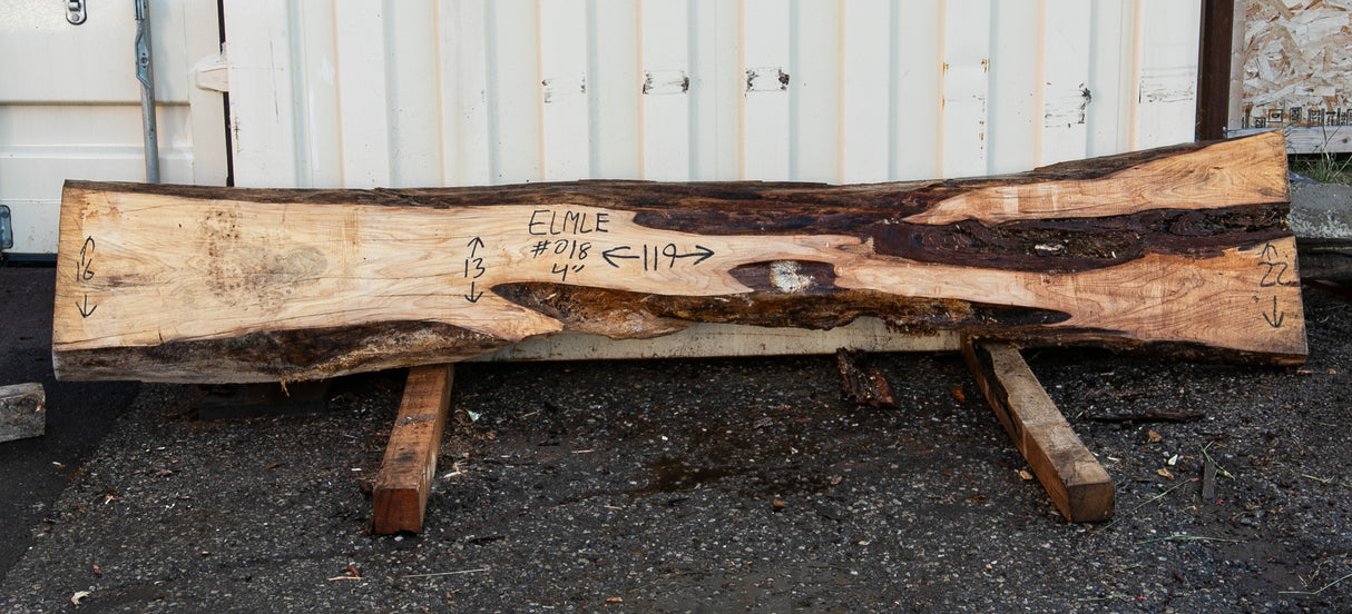Elm Live Edge #018