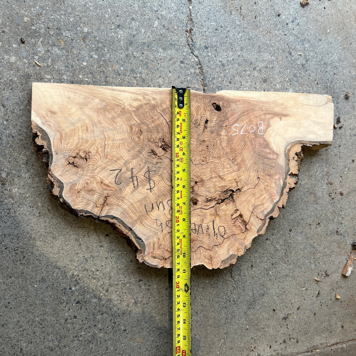 Olive Ash Burl 19”x10”x1”