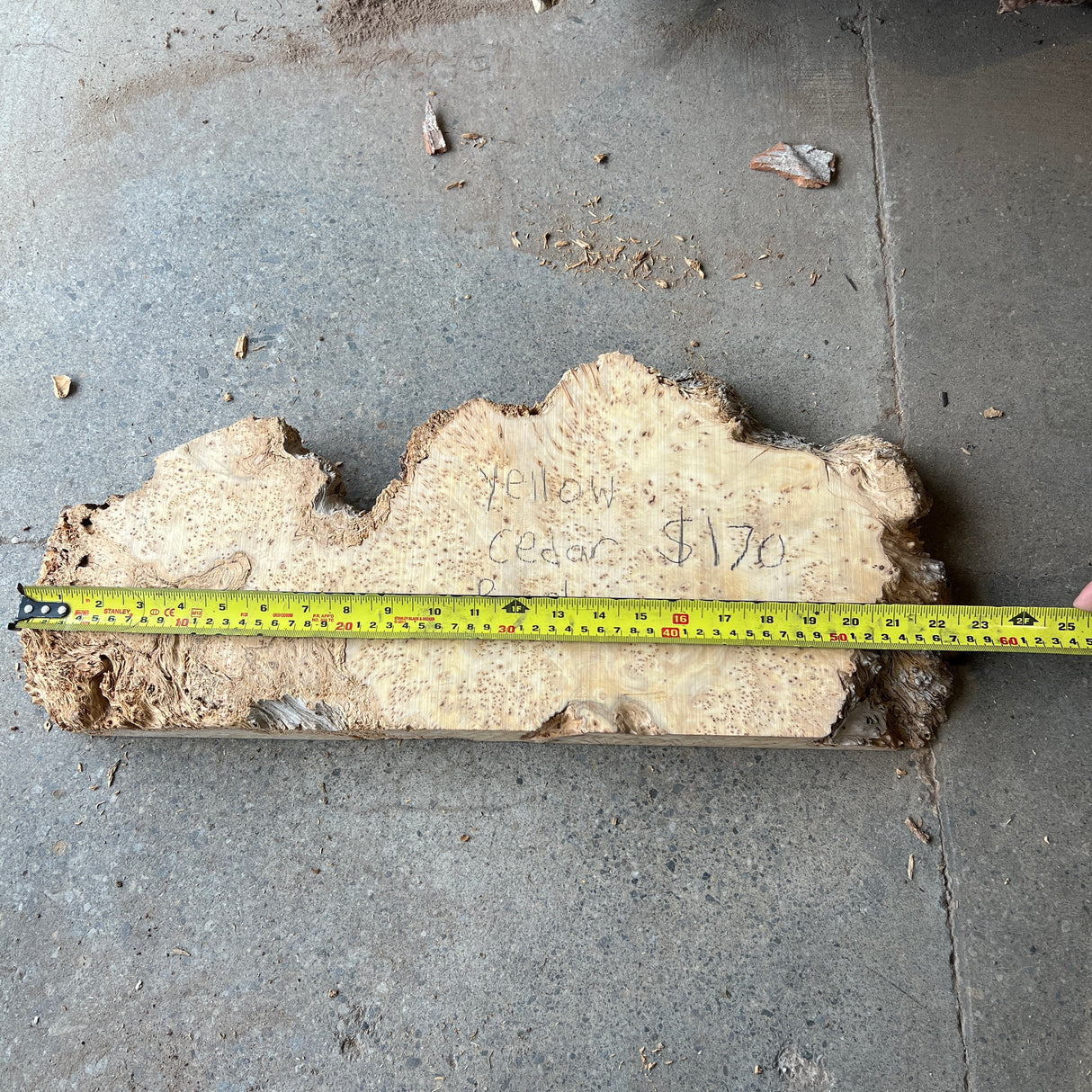 Yellow Cedar Burl 22”x8”x2”
