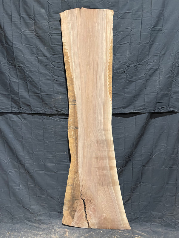 Black Walnut 8 4 Live Edge #530 - Black Forest Wood Co.