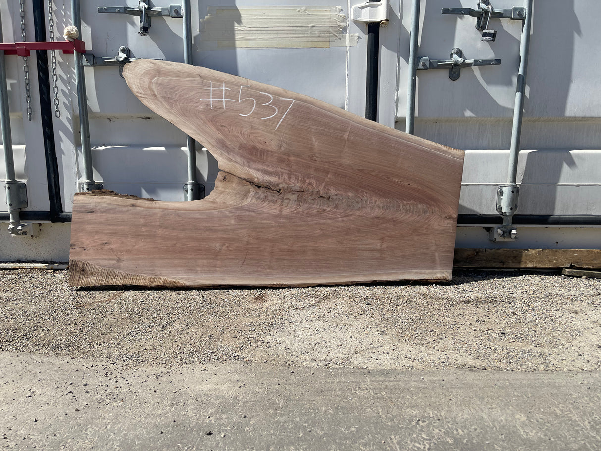 Black Walnut 10/4 Live Edge #537