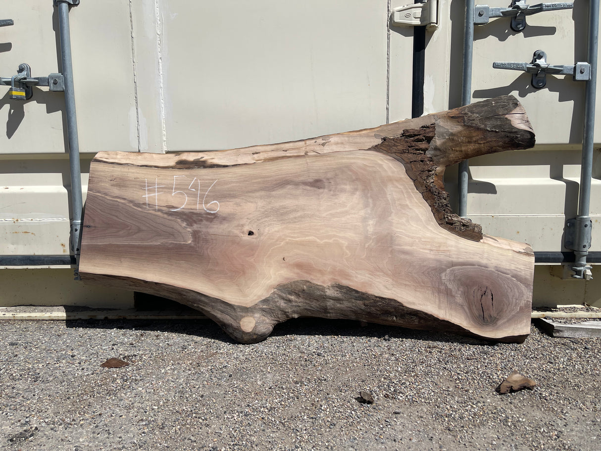 Black Walnut 10/4 Live Edge #546