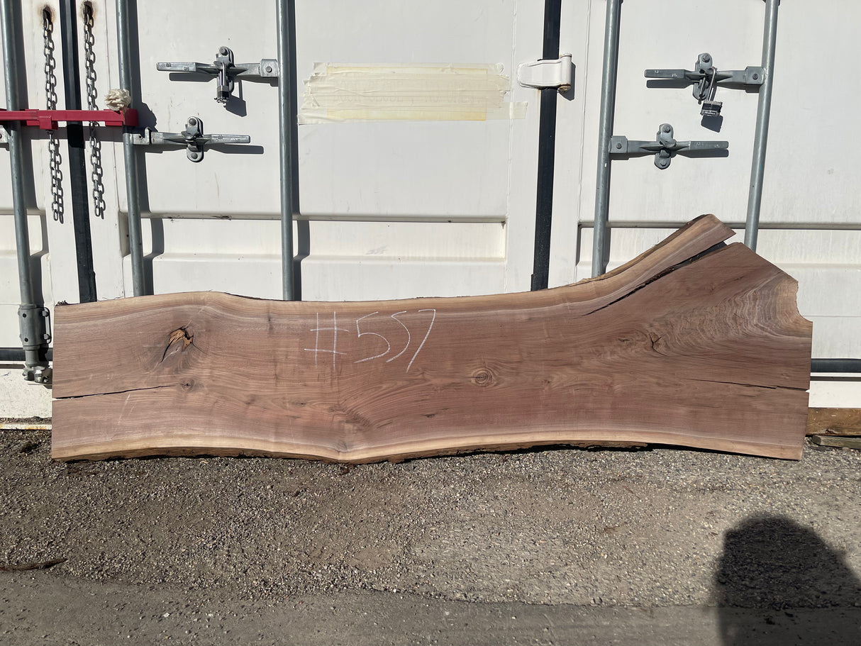 Black Walnut 10/4 Live Edge #557
