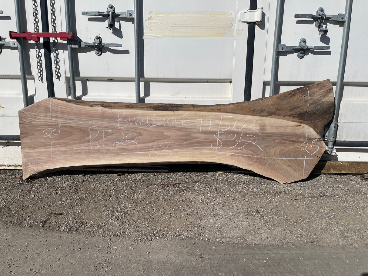 Black Walnut 10/4 Live Edge #562