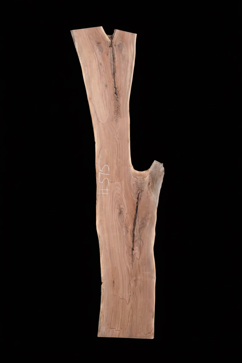 Black Walnut 10/4 Live Edge #575